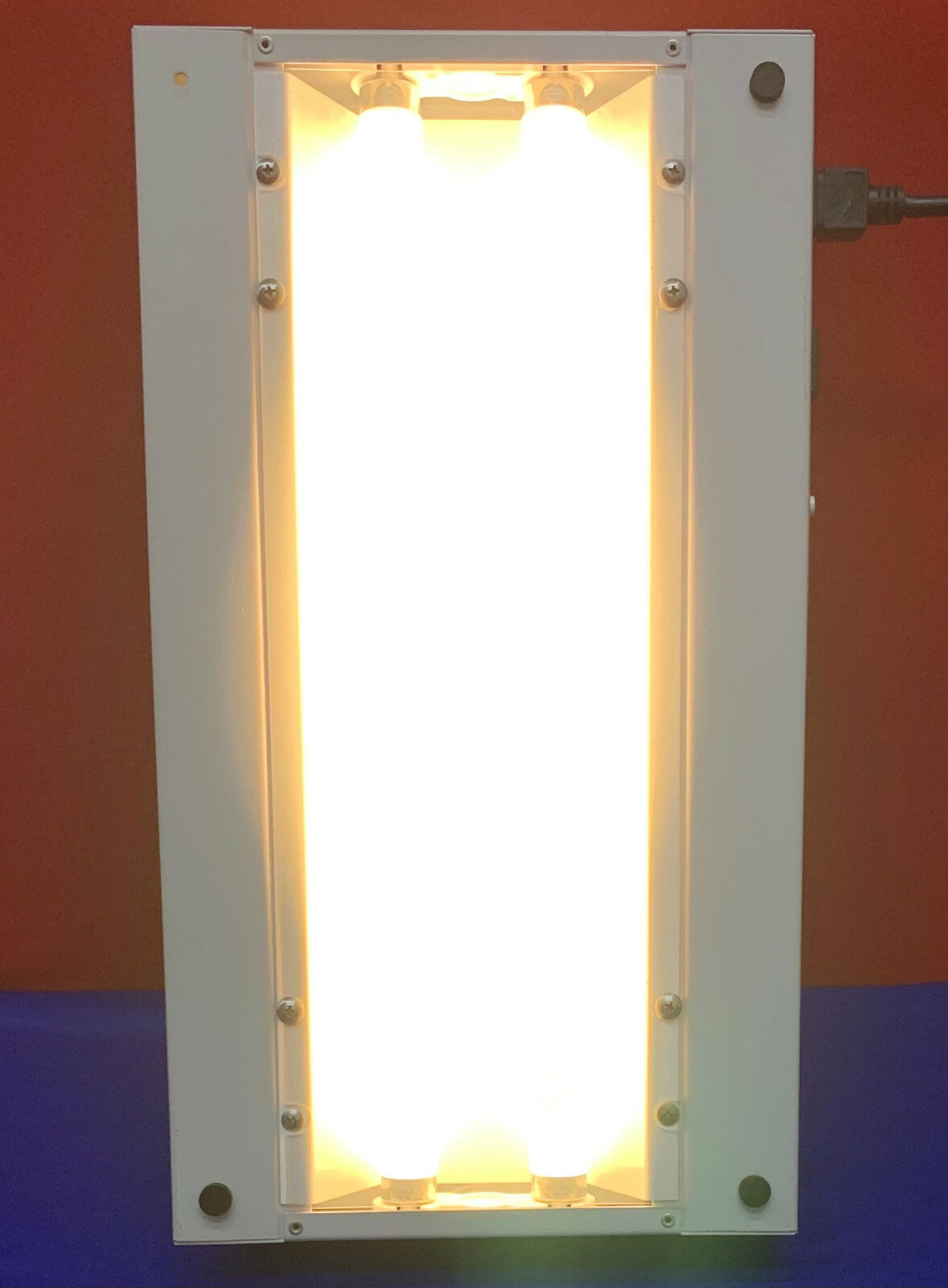 Labconco Fluorescent Light Kit & Auxiliary Power Switch 3909200