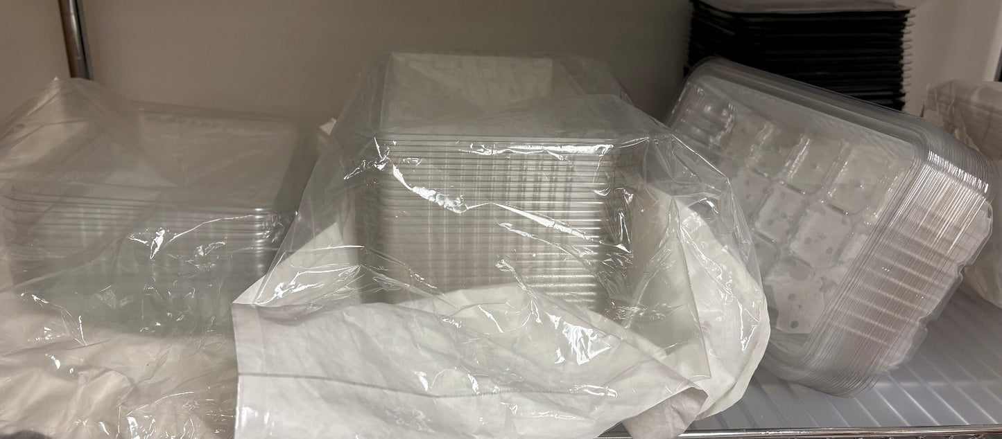 Seed Starting tray clear plastic 10" x 7" x 2" deep Green House 100ea