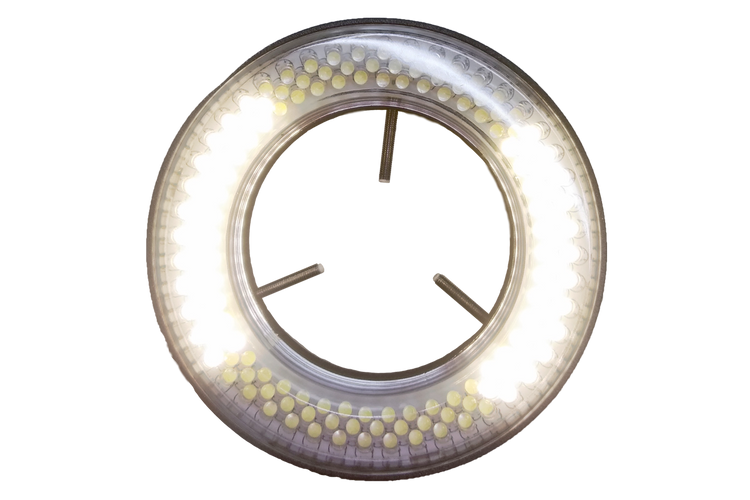 Quad-Light-2-on-2-off