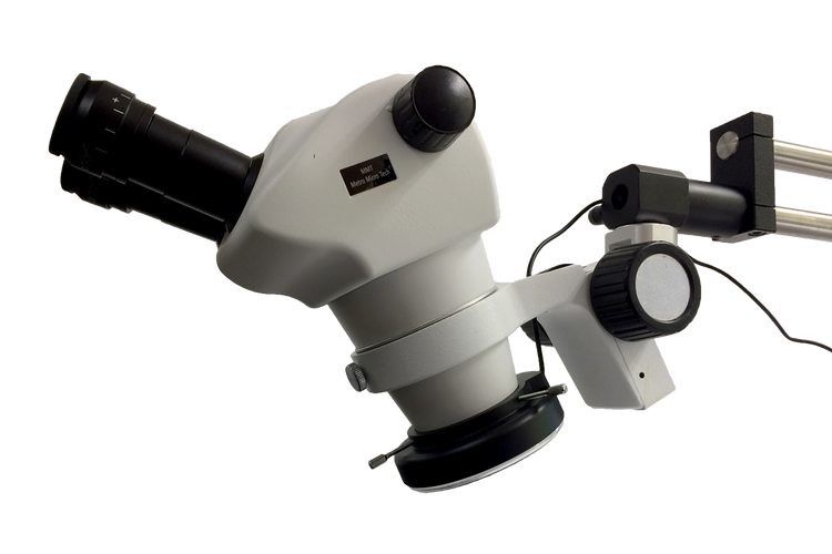 Microscopes All