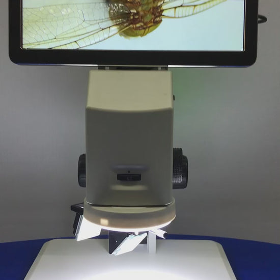 mmbtz45x-3d-lens-mmbt-3d-lens