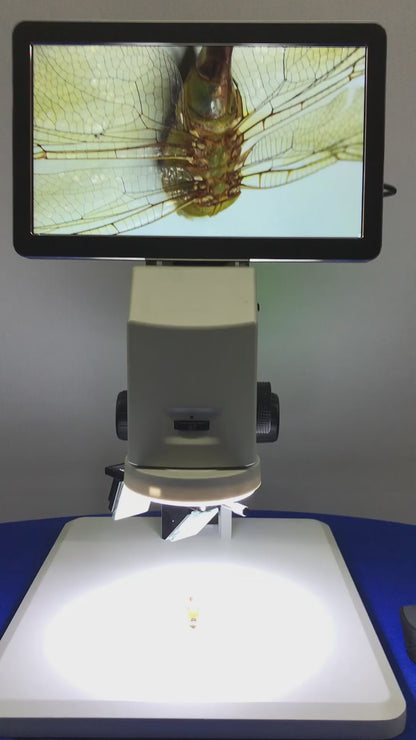 mmbtz45x-3d-lens-mmbt-3d-lens