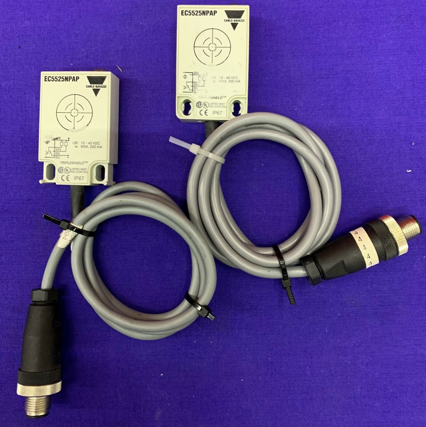 QTY 2 - Carlo Gavazzi EC5525NPAP Sensori di prossimità capacitivi 