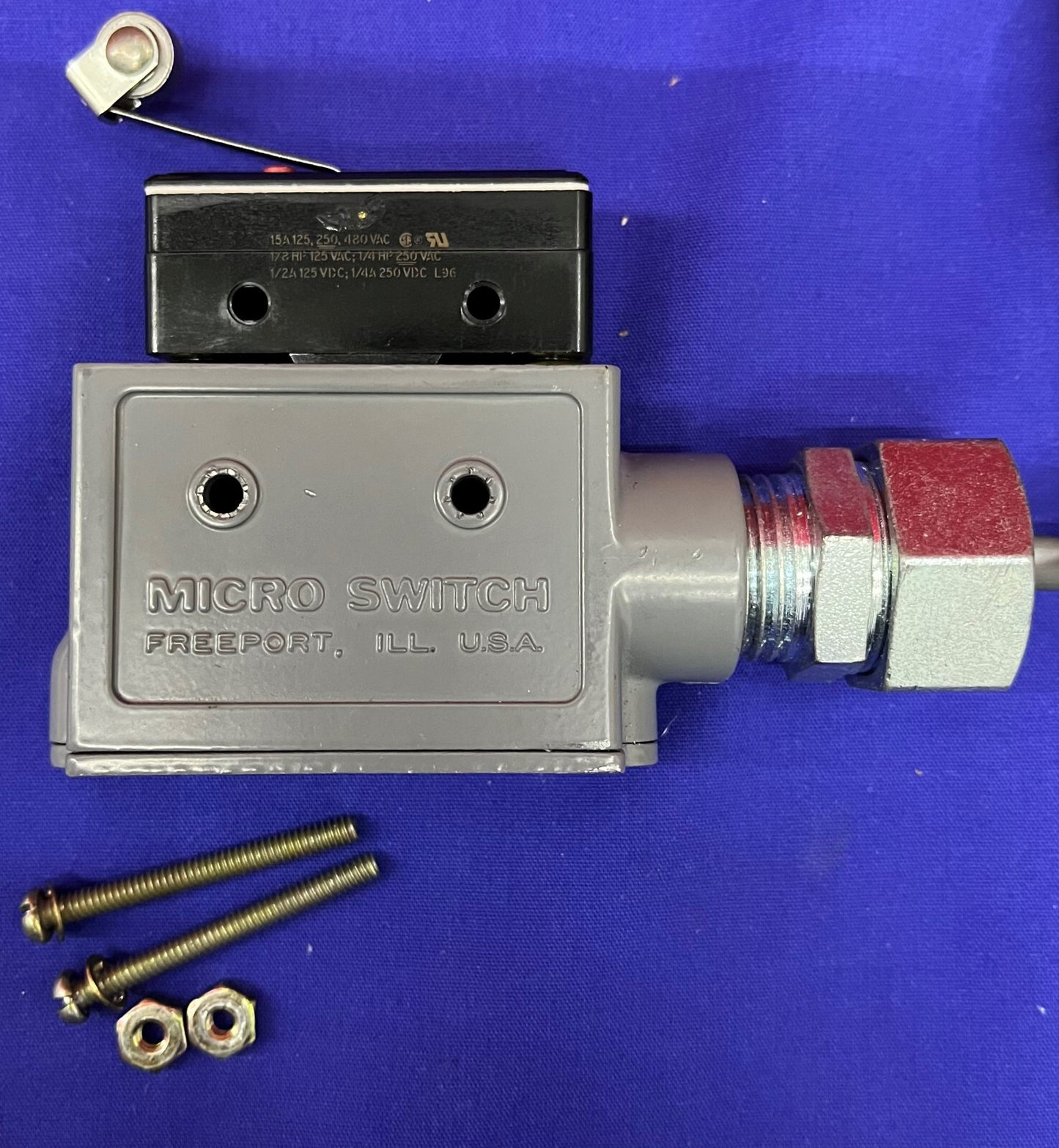 Microinterruttore BZ-2RL25551-A2 Interruttore a scatto con custodia
