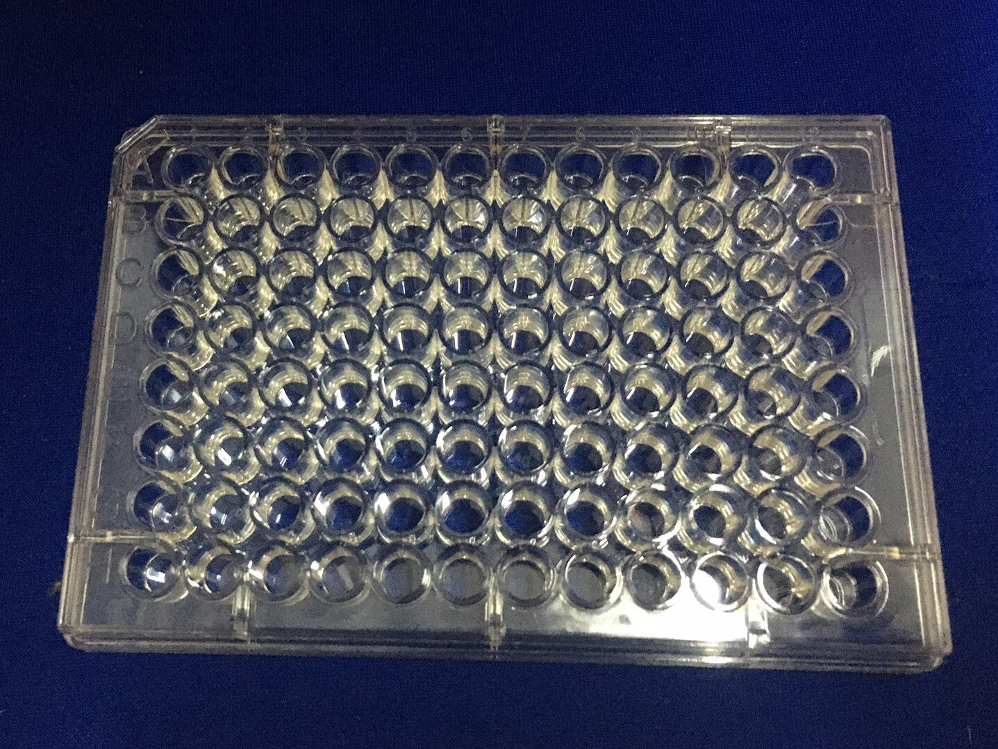 PLACAS DE 96 POZOS REACTI-BIND™ THERMO SCIENTIFIC 15041 - MUESCA EN LA ESQUINA