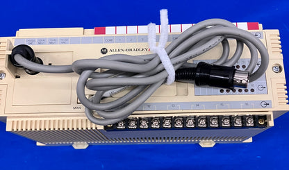 UNITÀ PROCESSORE AB / ALLEN BRADLEY / ALLEN-BRADLEY 1745-LP101 SER D