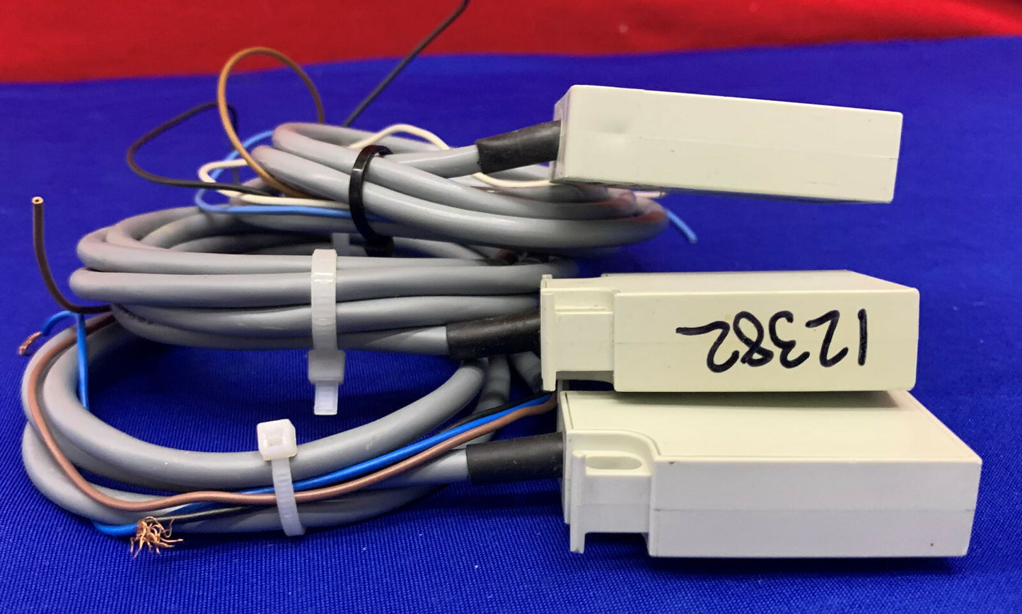 Lot of 3 Carlo Gavazzi Capacitive Proximity Sensor EC5525PPAP 10-40 VDC