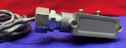 Microinterruttore BZ-2RL25551-A2 Interruttore a scatto con custodia