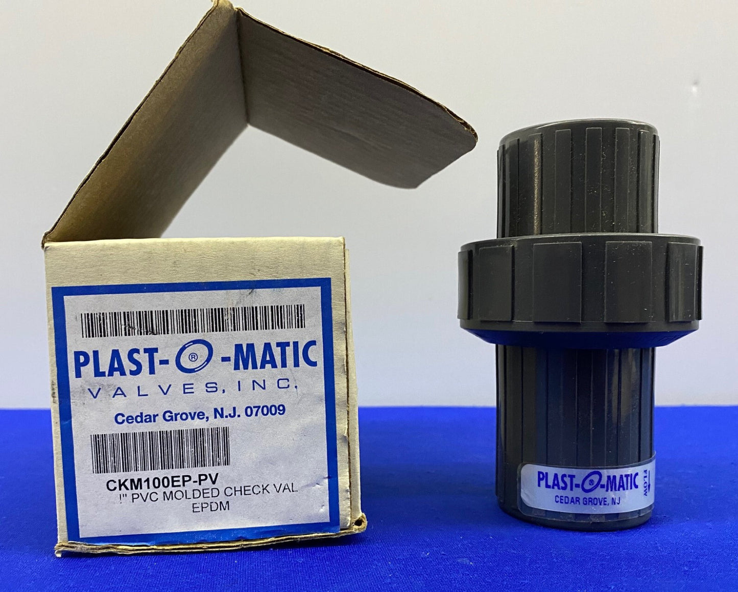 PLAST-O-MATIC CKM100EP-PV / CKM 100 1" CHECK VALVE