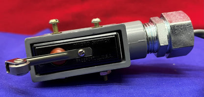 Microinterruttore BZ-2RL25551-A2 Interruttore a scatto con custodia