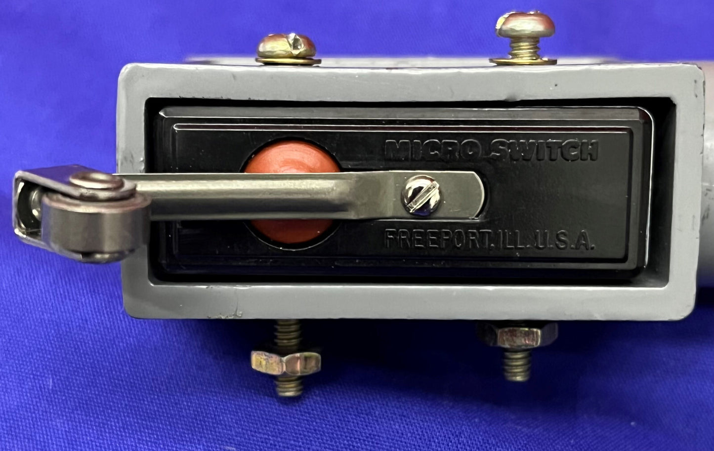 Microinterruttore BZ-2RL25551-A2 Interruttore a scatto con custodia