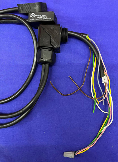 Lot of 2 Schmersal BNS260-11/01ZG-R Magnet Safety Sensor