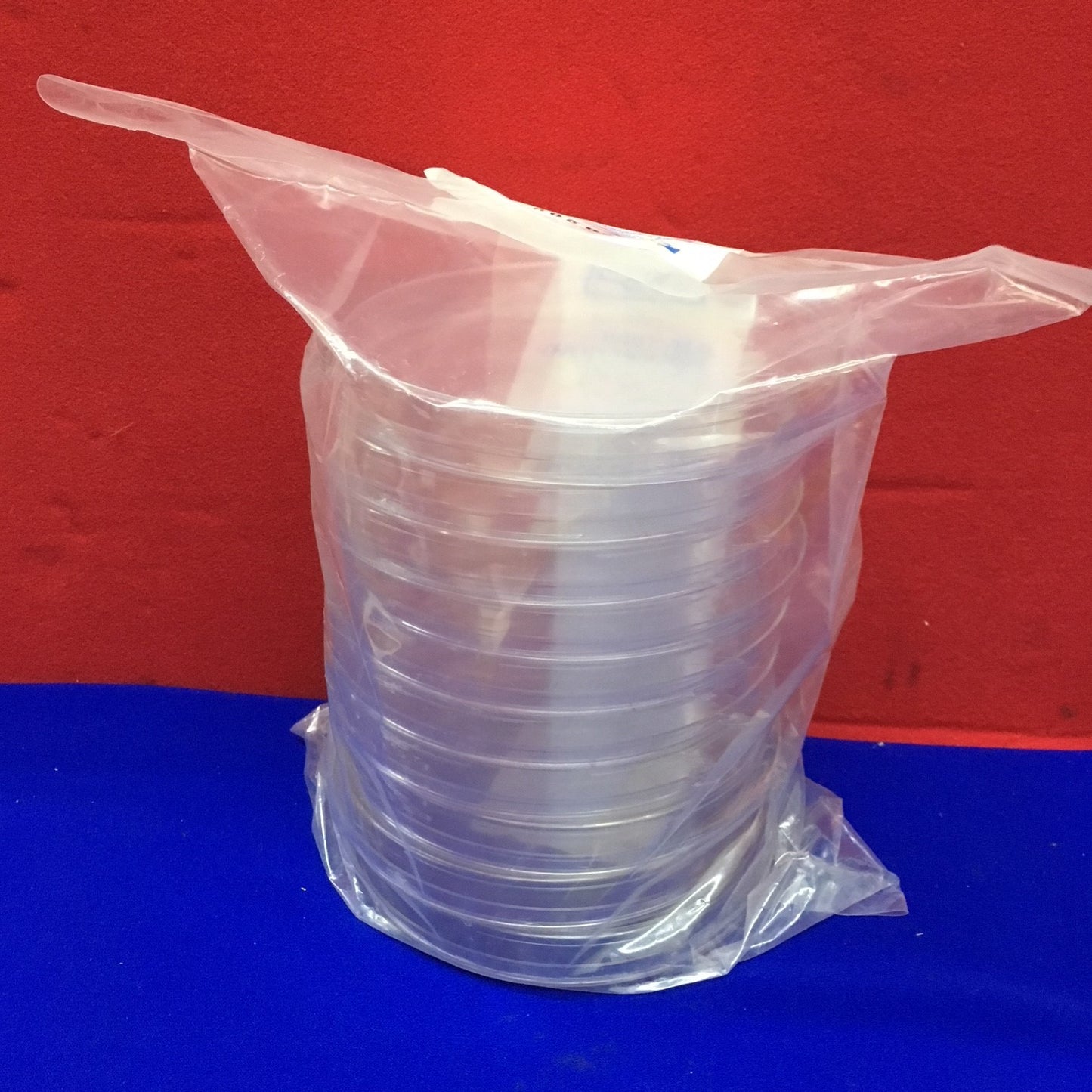FALCON BECTON DICKINSON 1058 PETRI DISH WITH LID DISPOSABLE POLYSTYRENE