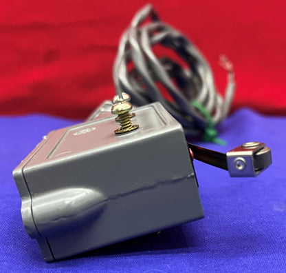 Microinterruttore BZ-2RL25551-A2 Interruttore a scatto con custodia