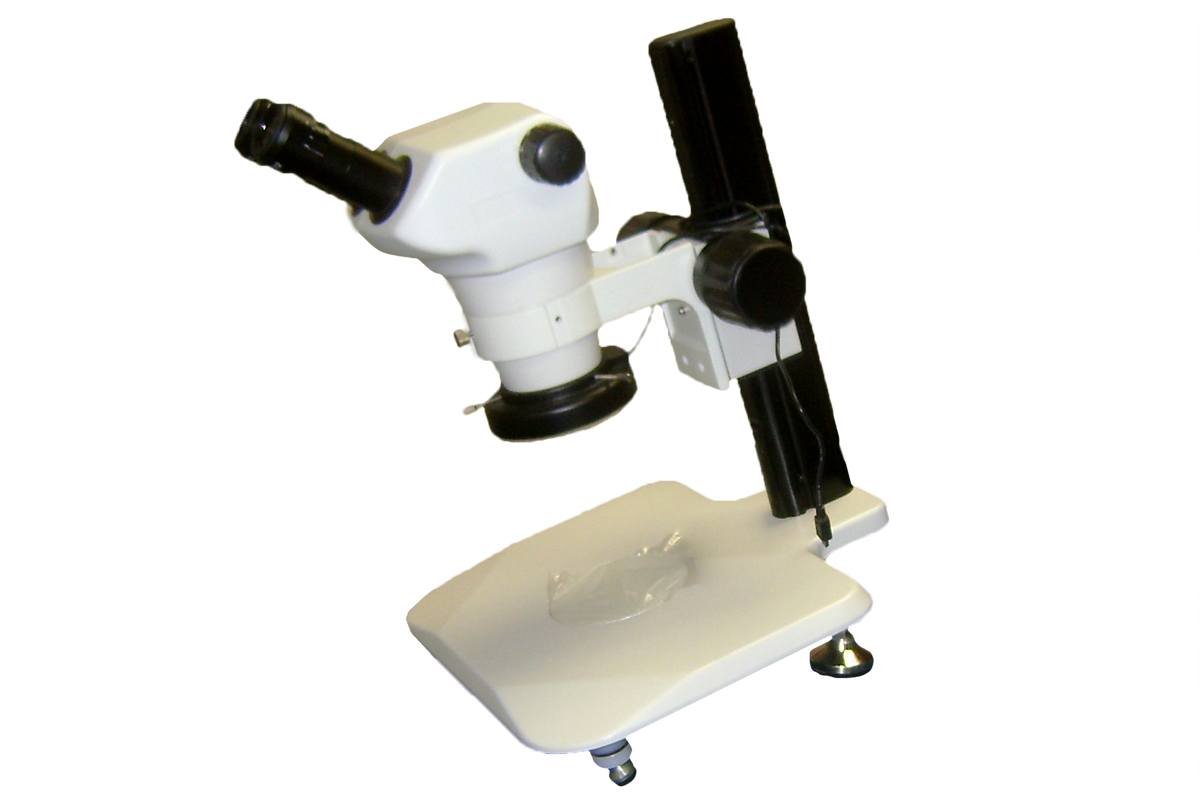 Tilt Stand Option Shown Angled Microscope
